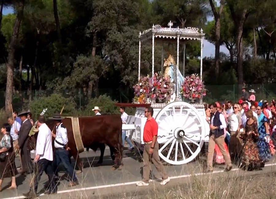 Festejos y Fiestas Populares
